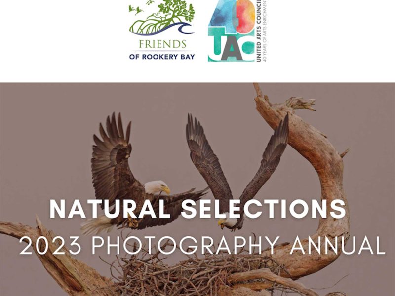 2023 Photography Annual Exhibition | Events | Rookery Bay Research Reserve