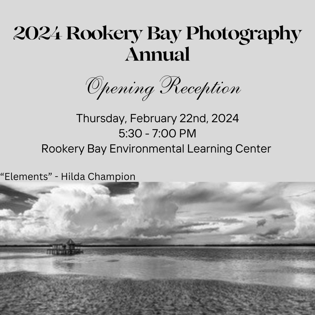 Rookery Bay Photography Annual Reception 2024 | Receptions & Exhibitions