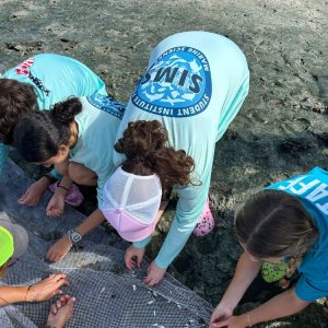 summer-institute-for-marine-science-sumer-camp-rookery-bay-research-reserve Summer Institute for Marine Science Camp at Rookery Bay Research Reserve | Tigertail Beach