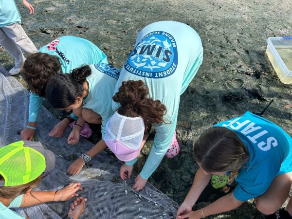 Summer Institute for Marine Science Camp at Rookery Bay Research Reserve | Tigertail Beach