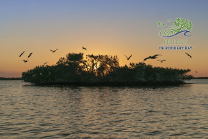 FORB Logo | Bird Rookery Island in Rookery Bay Research Reserve | Elam Stoltzfus | Zoom Gallery