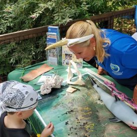 Rookery Bay | Outreach | Cheri | Boo at the Zoo