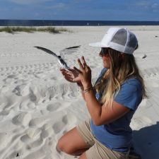 Collette Lauzau | Festival of Birds | Rookery Bay Research Reserve