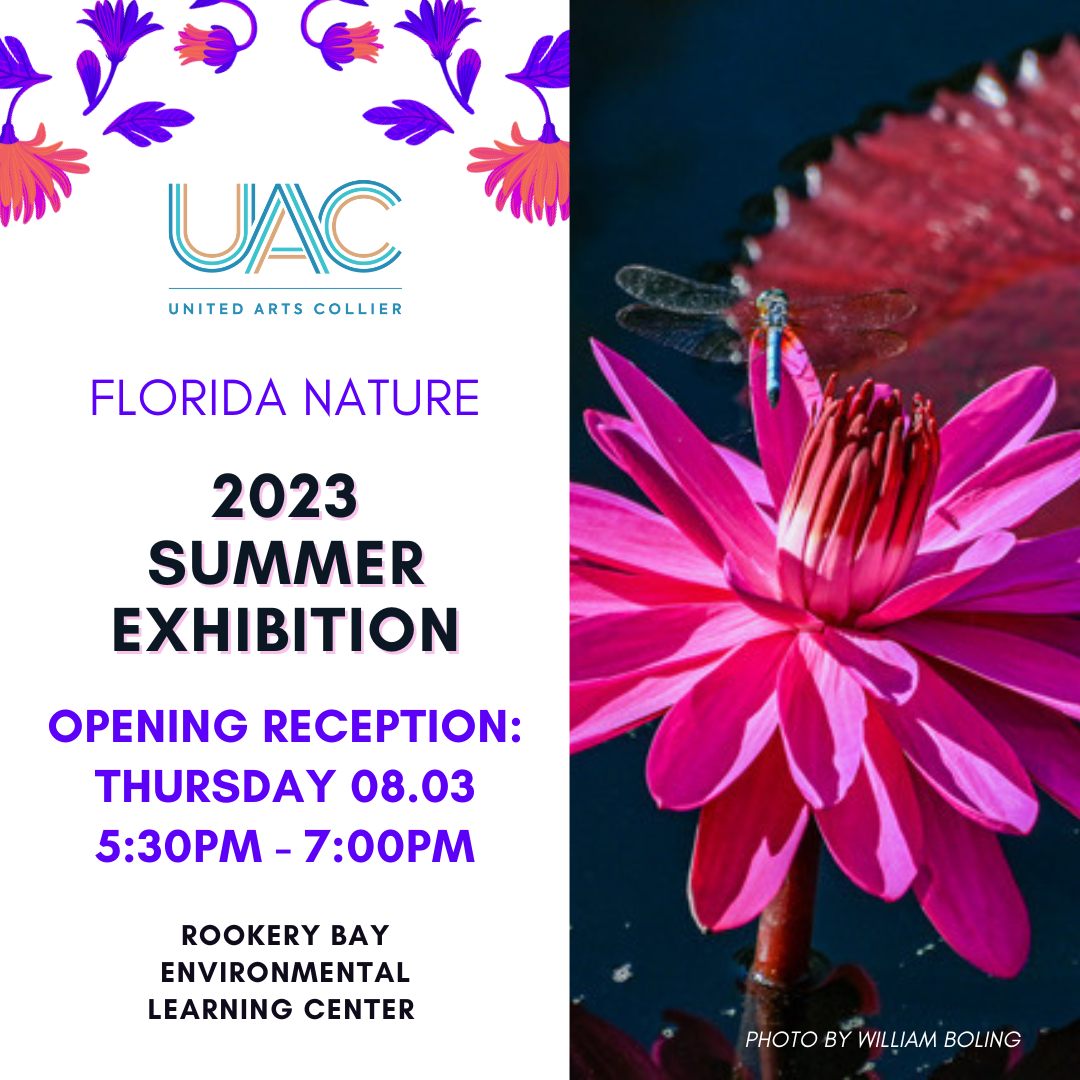 2023 Summer II Exhibition and Receptions | Events at the Environmental Learning Center | Art Gallery Receptions | Rookery Bay Research Reserve