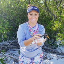 Kara Cook | Festival of Birds | Rookery Bay Research Reserve