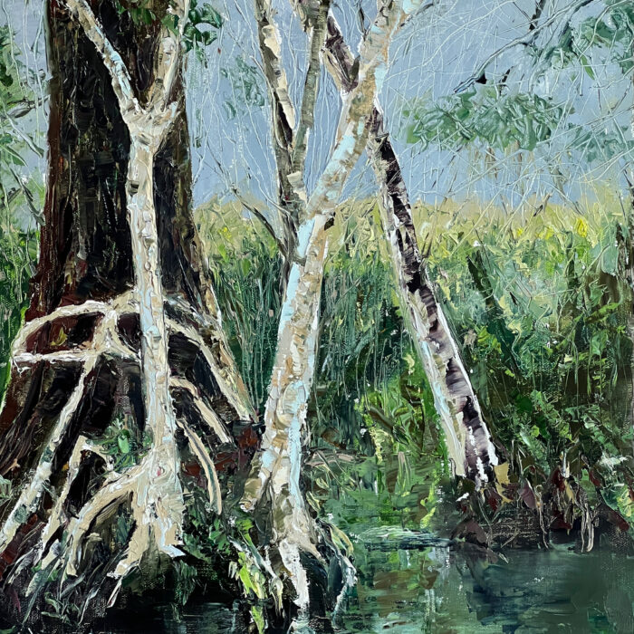 Lisa Absher - Rookery Relections Lisa Absher - Rookery Relections