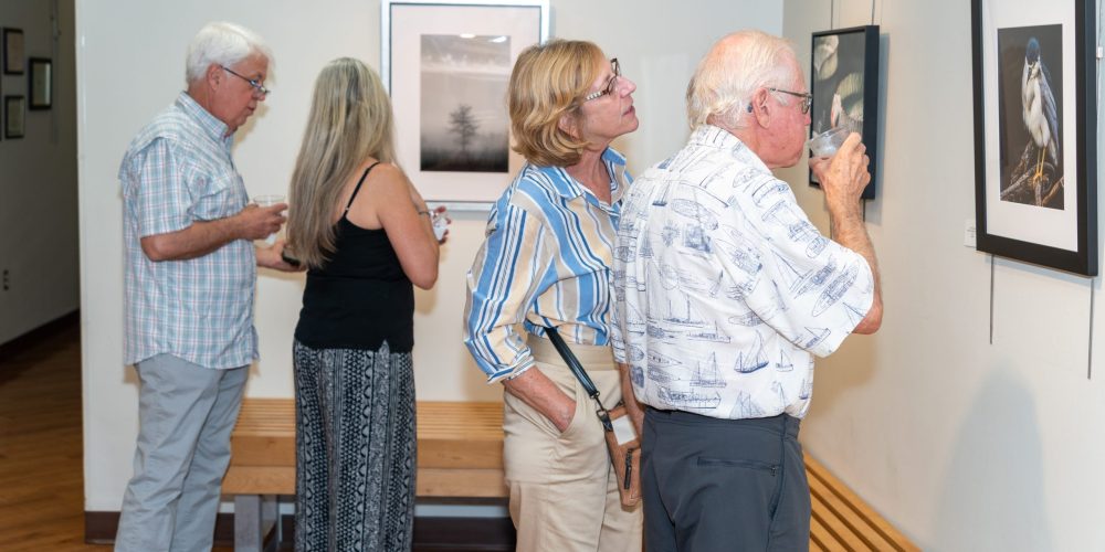 Art Gallery Reception | Summer II | Events | Rookery Bay Research Reserve