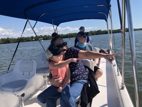 Boat Tours | Family | Eco-Tours | Dolphins, Manatees, Birds and Wildlife | Rookery Bay Research Reserve