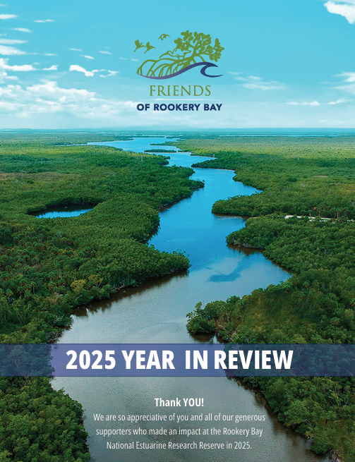 2025 Year in Review | The State of the Friends of Rookery Bay