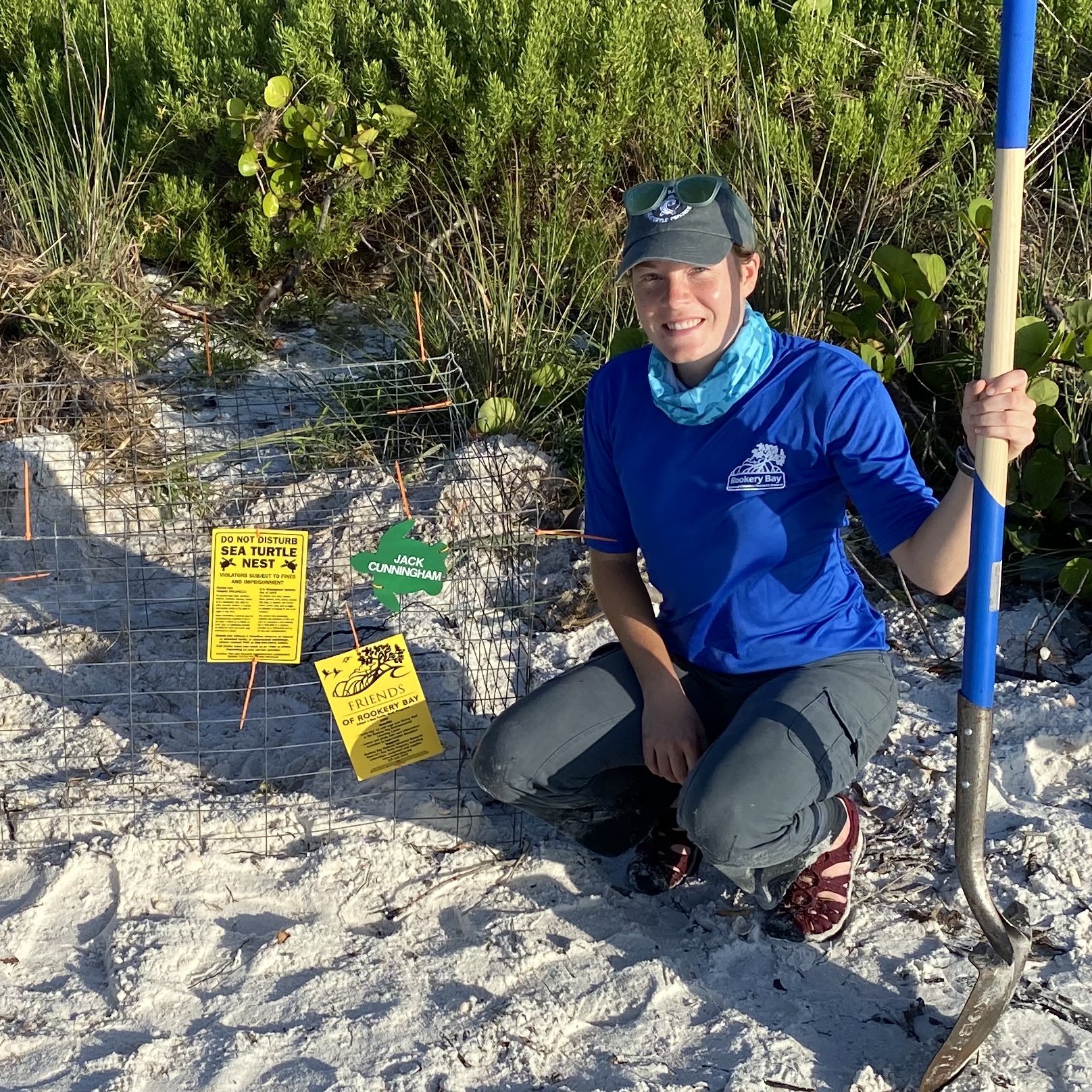 Sea Turtle Nest | Rookery Bay Research Reserve