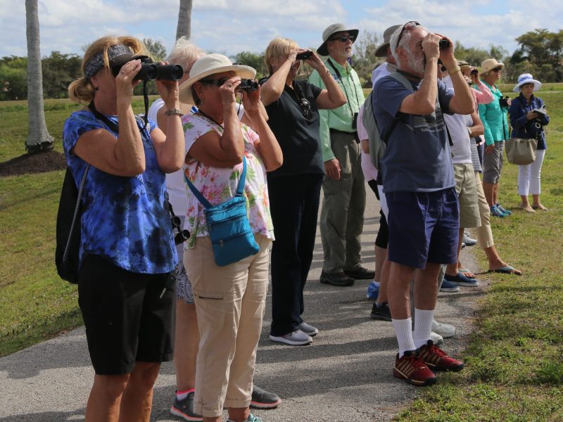 Birding for Beginners | Rookery Bay Research Reserve | Festival of Birds