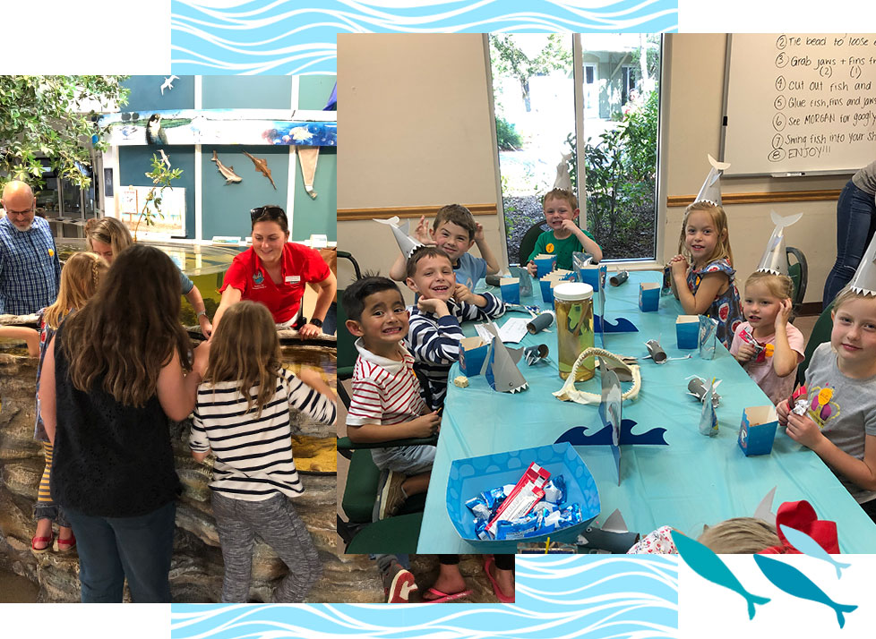 Birthday Party | Blue Background | Sharks, Dolphins, Manatees, Plankton | Rookery Bay Research Reserve