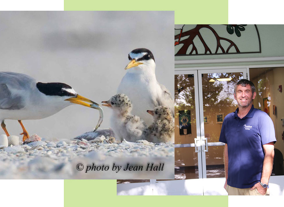 Breakfast with the Birds at Rookery Bay| National Estuarine Research Reserve