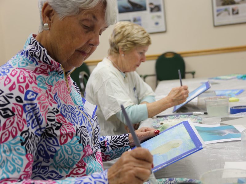 Brush Strokes | Water Color Class | Rookery Bay Research Reserve