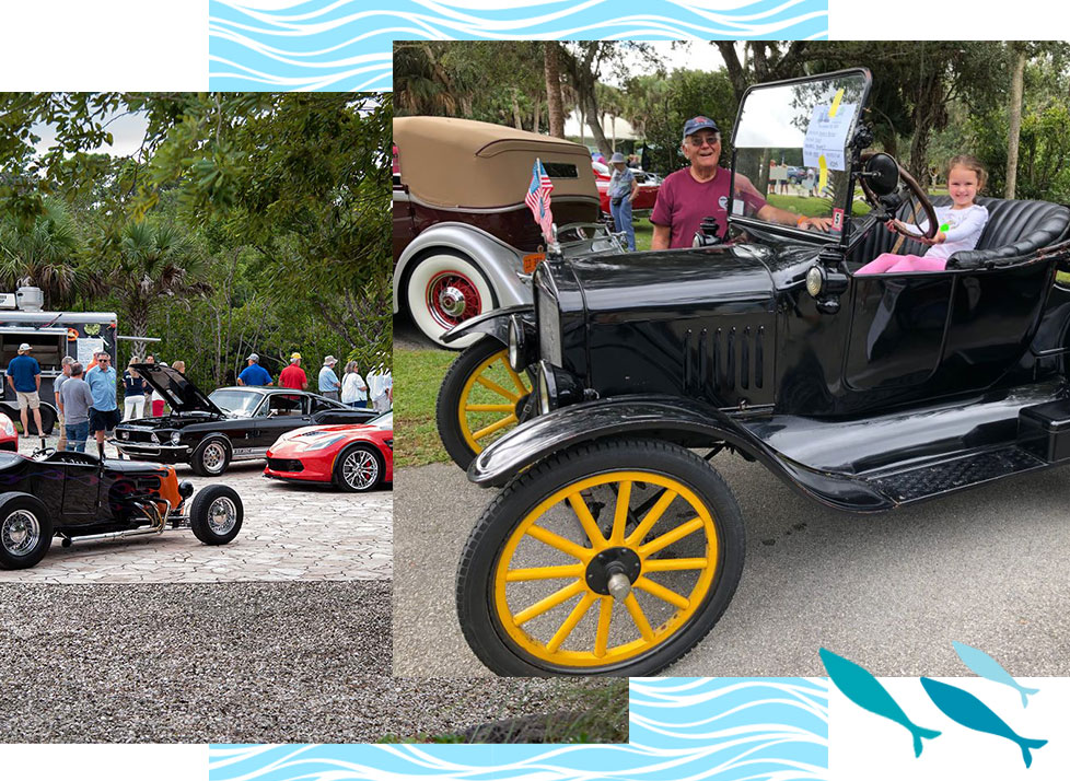 Classic Car Show | Annual Events | Kids and Families | Rookery Bay Research Reserve