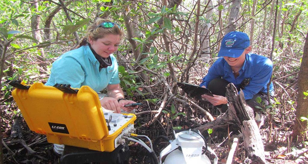 Coastal Inundation in Naples | Rookery Bay Research Reserve