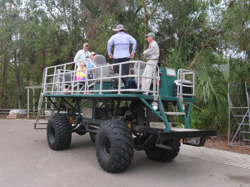 Backcountry Swamp Buggy Trip | Corkscrew Swamp Sanctuary | Festival of Birds | Events | Rookery Bay Research Reserve