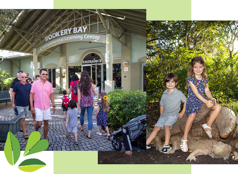 Environmental Learning Center | Visit | Rookery Bay Research Reserve
