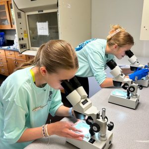 field station Summer Institute for Marine Science Camp at Rookery Bay Research Reserve | Field Station on Shell Island Road