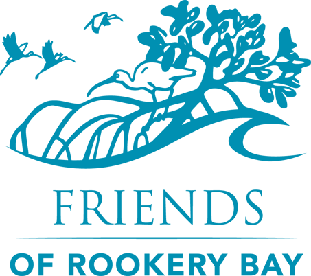 Kayak Tours Naples | Rookery Bay National Research Reserve