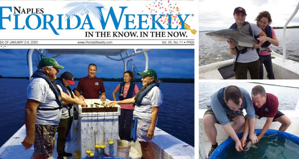 Rookery Bay shark research article in Florida Weekly