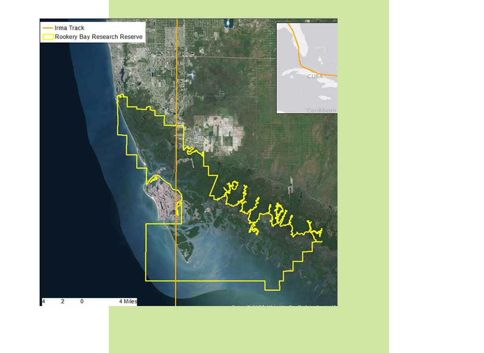 Habitat Change Hurricane Irma | Rookery Bay Research Reserve