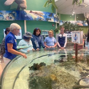 invertebrate investigation Behind the Scenes at Rookery Bay Environmental Learning Center | Invertebrate Investigation at Rookery Bay | Summer Institute for Marine Science Camp