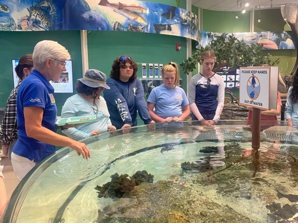 Behind the Scenes at Rookery Bay Environmental Learning Center | Invertebrate Investigation at Rookery Bay | Summer Institute for Marine Science Camp