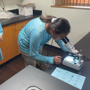 Students during Summer Institute for Marine Science hosted by the Rookery Bay Education Department