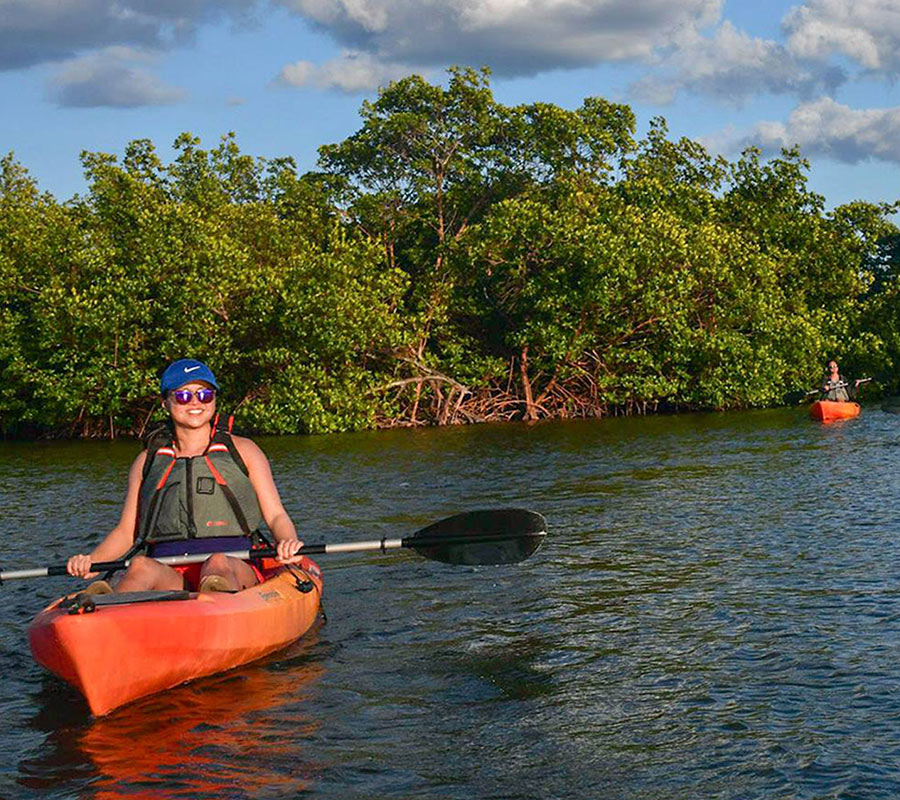 eco tours marco island florida