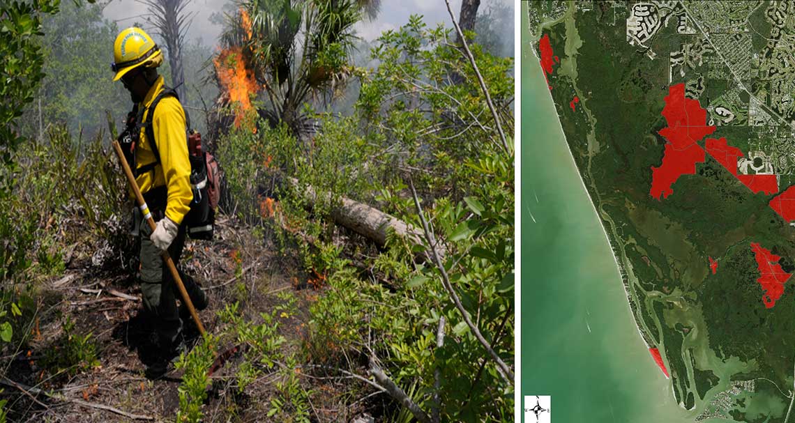 Prescribed Burns in Naples | Rookery Bay Research Reserve