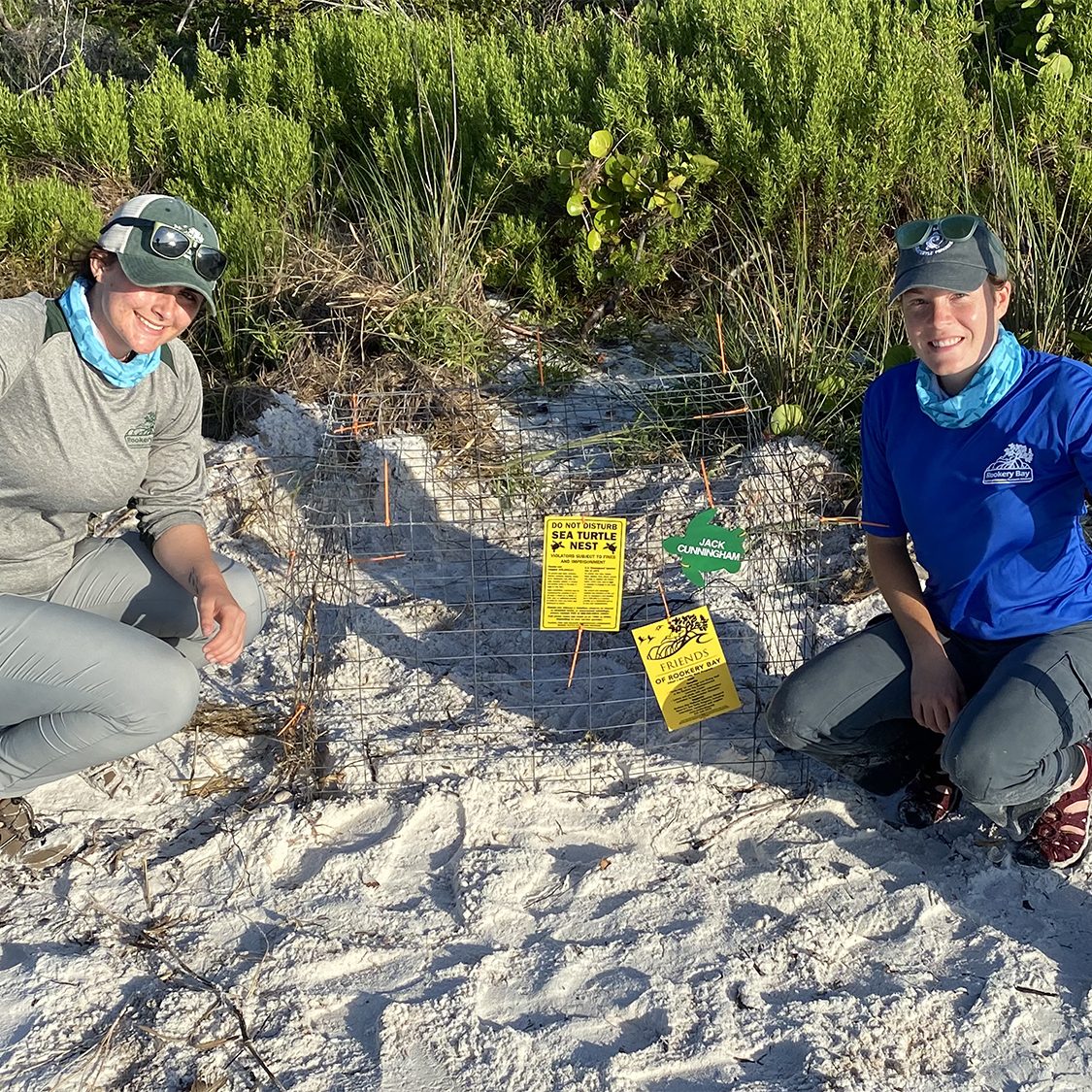 sea-turtle-interns-2021-adopt-a-sea-turtle-nest-gallery-1-rookery-bay-research-reserve