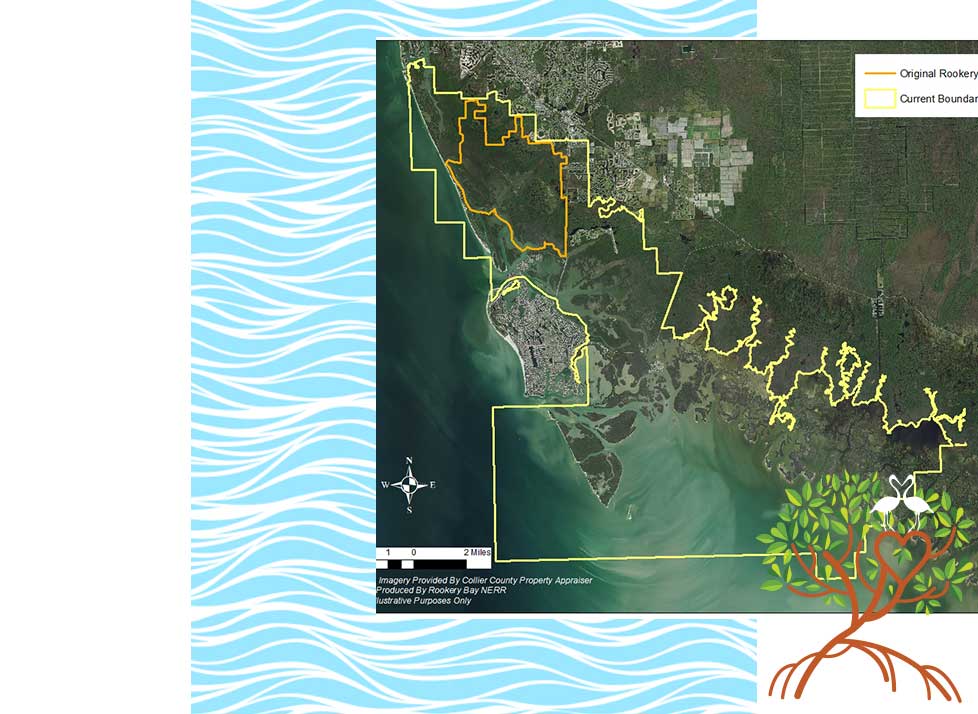 Beginnings | Rookery Bay Research Reserve