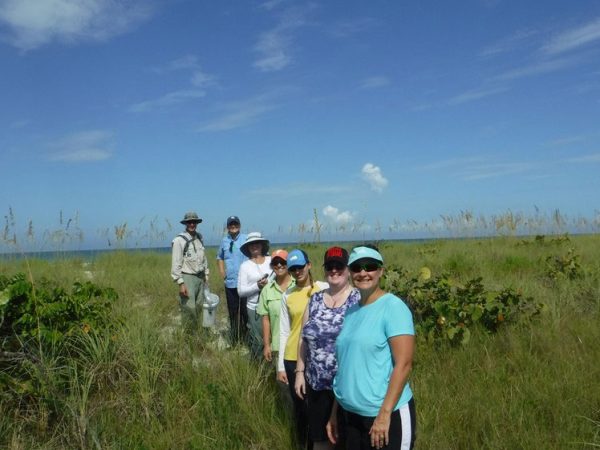 Teachers on the Estuary | Rookery Bay Research Reserve